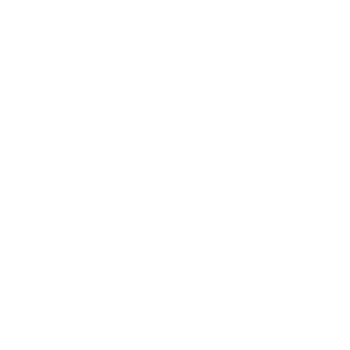 icon-mentorship2